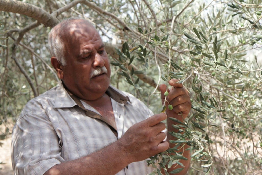 Abu Al Abed creates gourmet olive oil gifts to support his family.