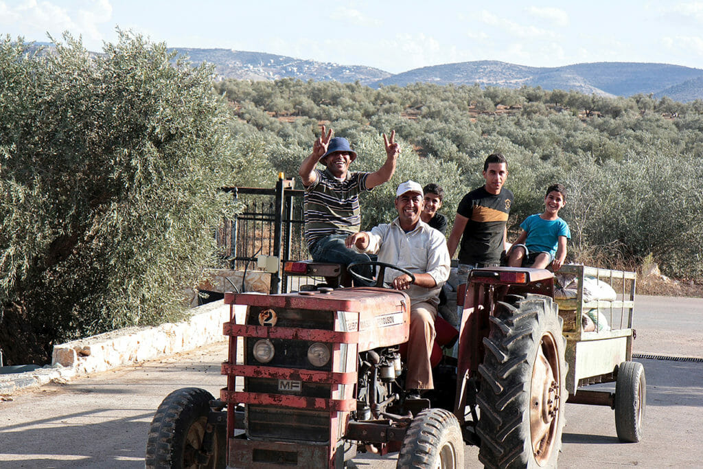 Some farmers in Palestine ride a tractor. They're some of the faces behind our gourmet olive oil gifts.