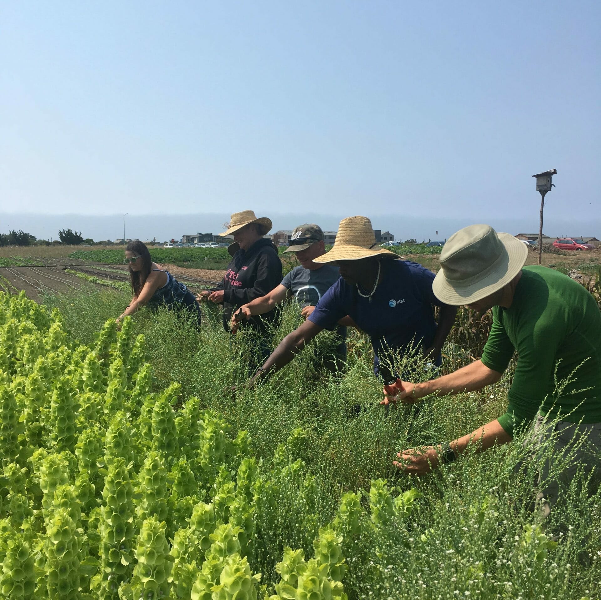 Homeless Garden 1 Homeless Garden 1